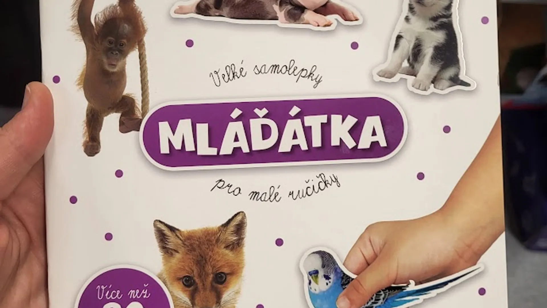 Samolepky jako jednoduchá zábava pro děti na cestách samolepkový sešit se zvířaty jako aktivita pro děti na cestu