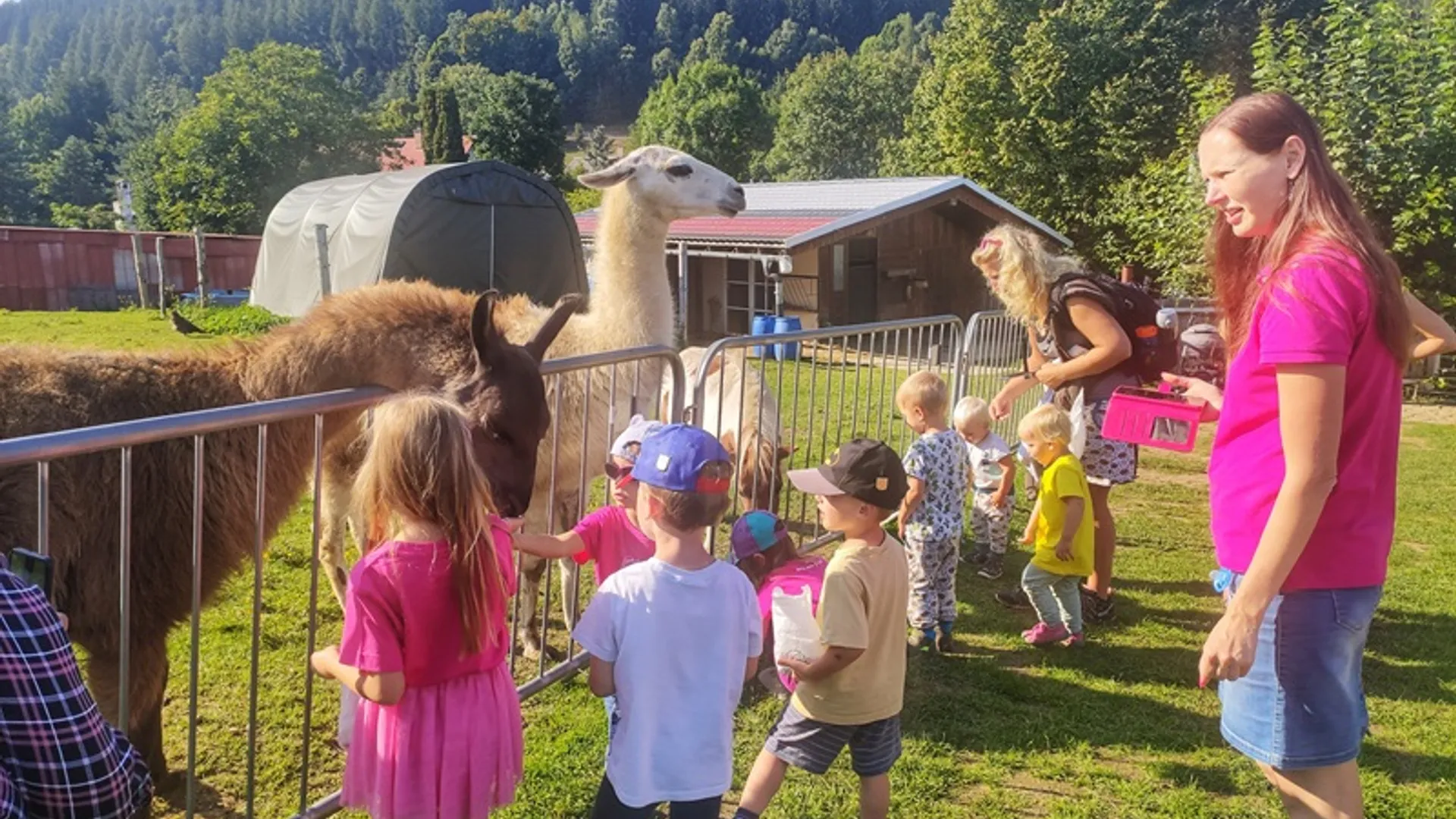 Společný program na pobytu Active moms & kids v Jeseníkách Děti s organizátorkou pozorují zvířata během společného výletu na pobytu v Jeseníkách.