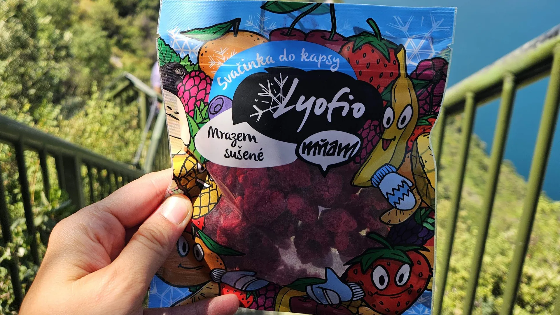 Lyofilizované ovoce jako svačina na výlet Balení mrazem sušeného ovoce Lyofio držené v ruce během výletu