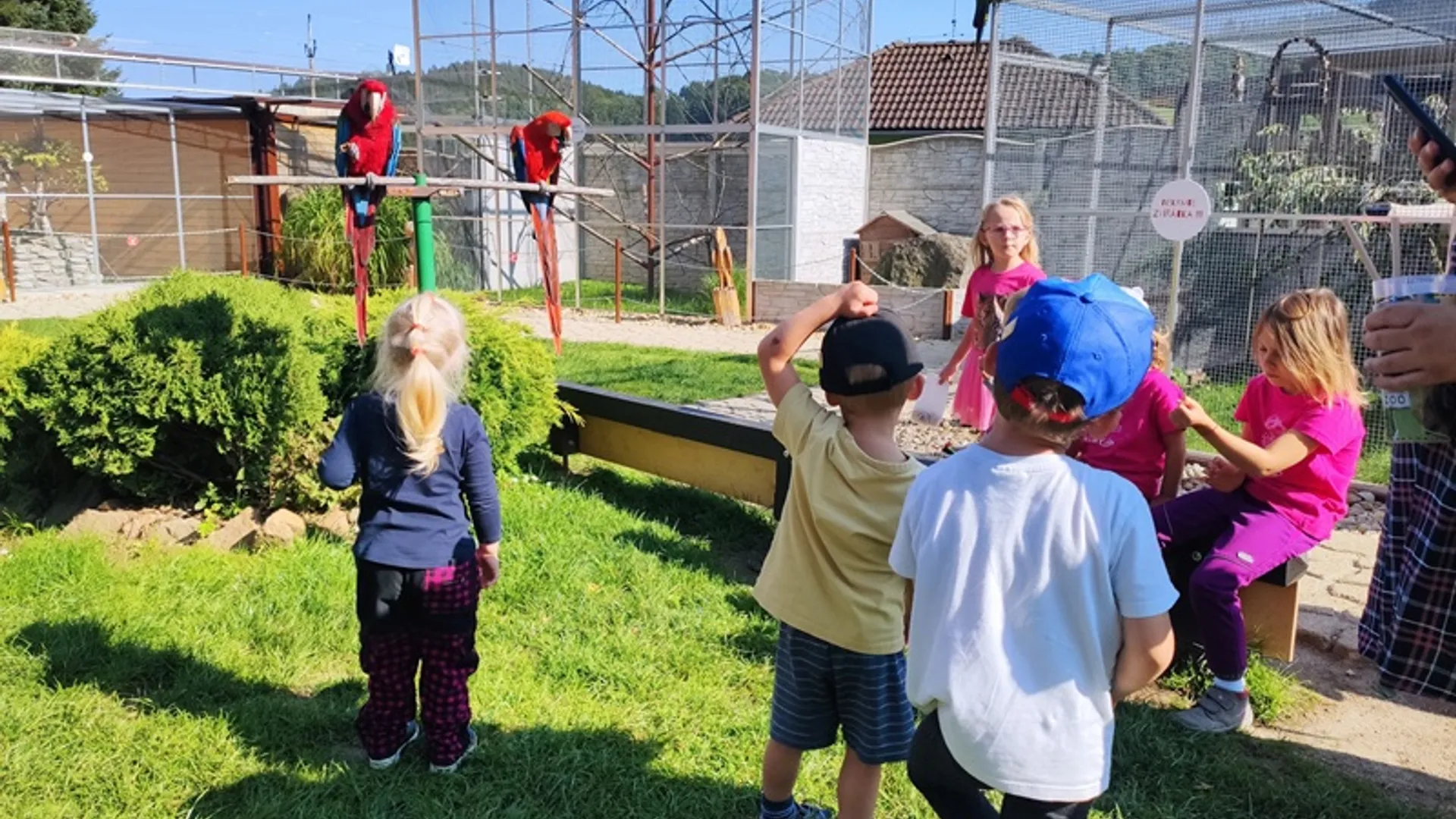 Faunapark Horní Lipová – výlet s dětmi z Ostružné Děti pozorují papoušky ve Faunaparku v Horní Lipové při výletu v Jeseníkách.